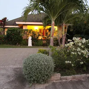 Villa The Artist Place At Estates St Ann, Richmond